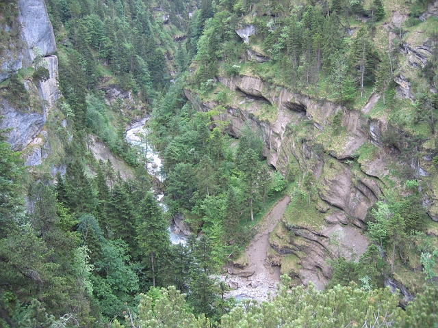 bild (25)